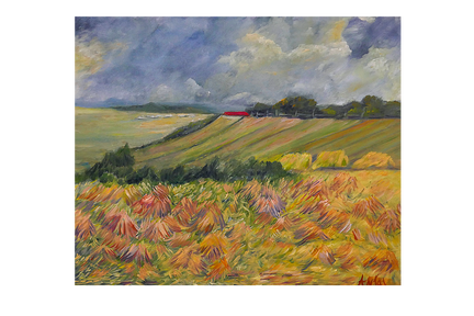 Farmhouse Field - 75x60