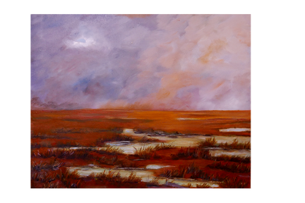 Orange wetlands - 50x40