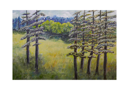 Tree clearing - 75x50