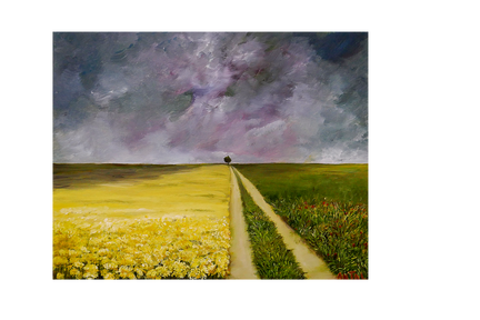 Yellow flower field - 50x40